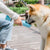 Dogglee™ Portable Dog Water Bottle